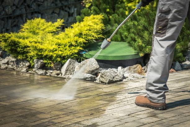 Best Window and Screen Pressure Cleaning in Danville, IA