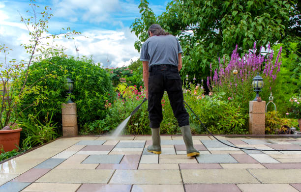 Best Driveway Cleaning and Restoration in Danville, IA
